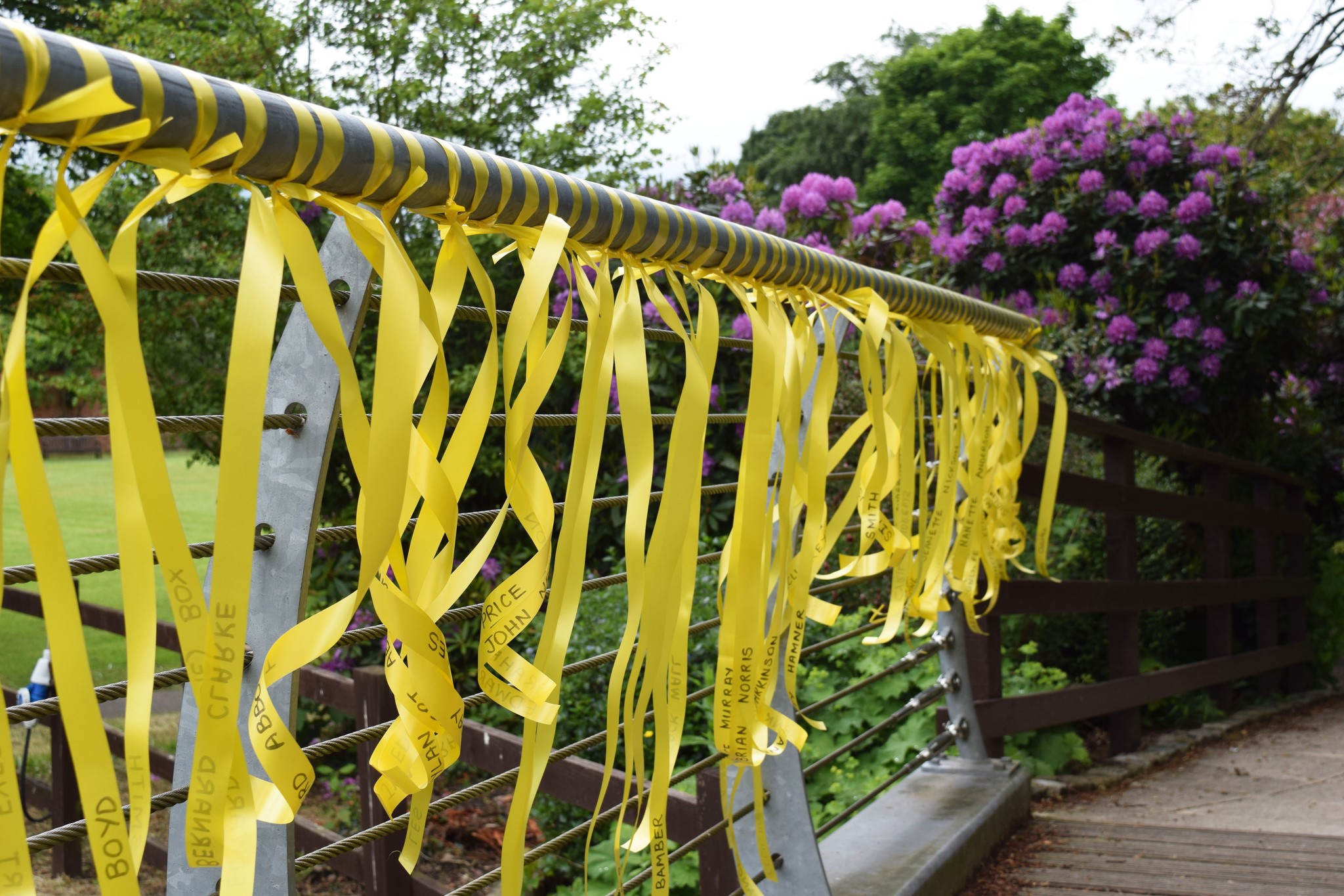 Yellow Ribbons - St Catherine's Hospice